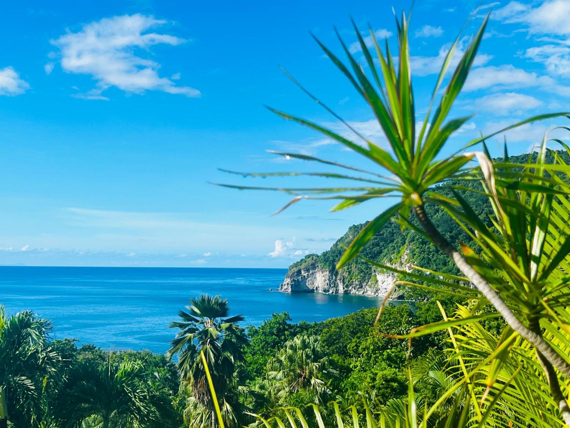 Vue Mer/3Beds/Piscine/Wifi/900 Metres De La Plage 德赛 外观 照片