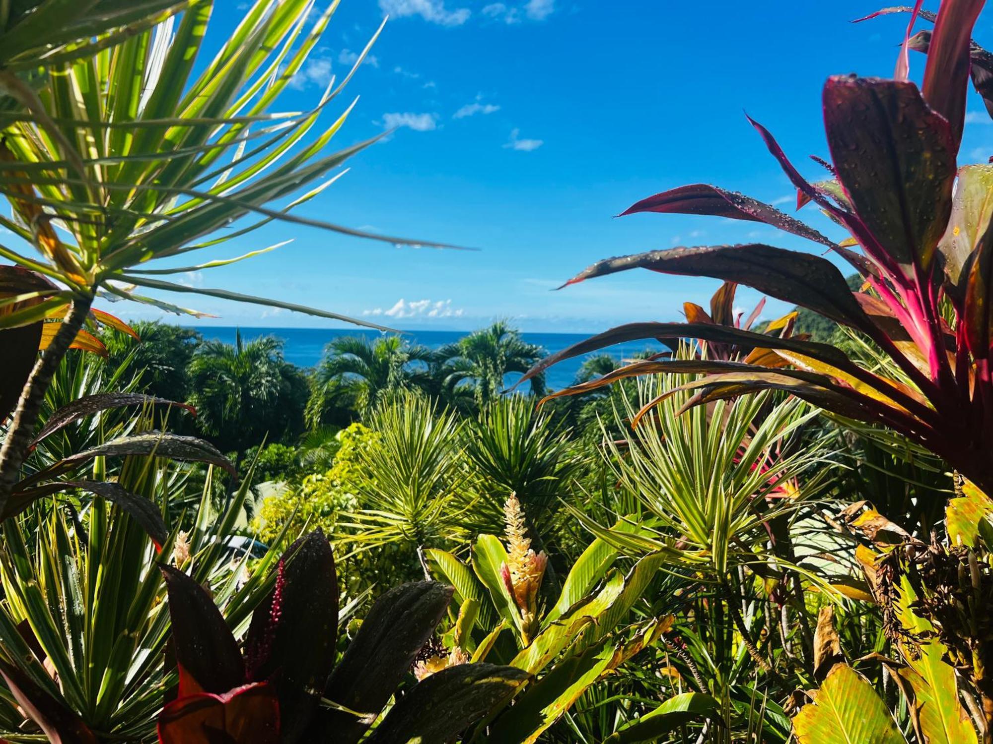 Vue Mer/3Beds/Piscine/Wifi/900 Metres De La Plage 德赛 外观 照片